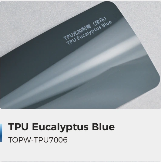 Eucalyptus Blue