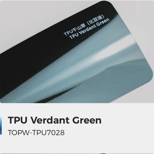 Verdant Green