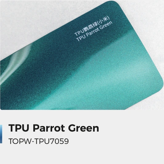 Parrot Green