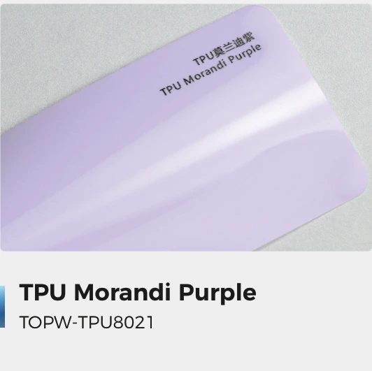 Morandi Purple